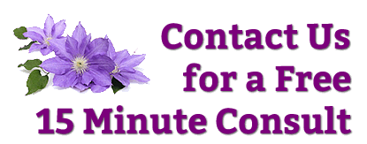 free consult